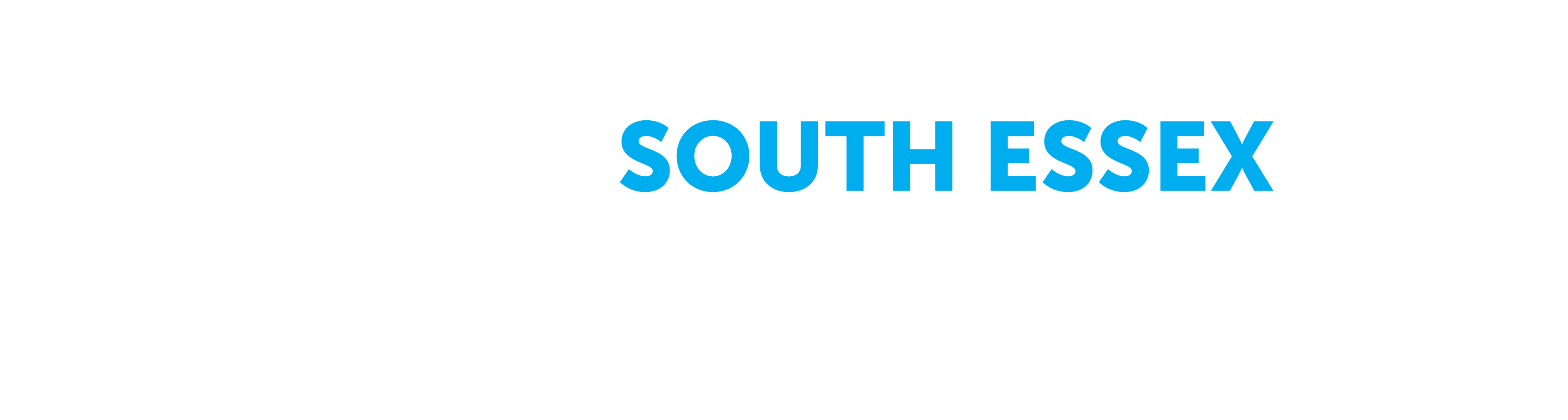 South Essex Colleges Group logo